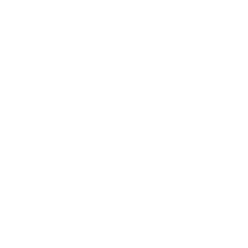 THE CRUCIFIX